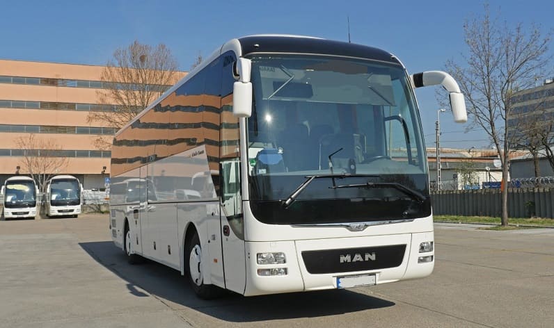 Savinja: Buses operator in Slovenske Konjice in Slovenske Konjice and Slovenia