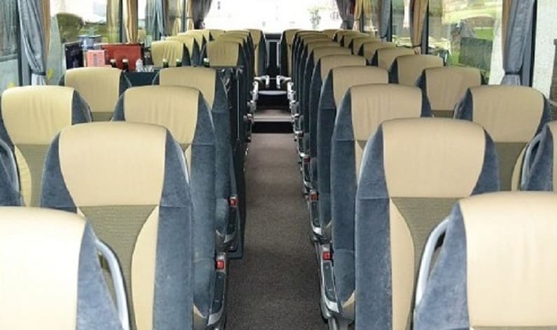 Slovenia: Coach operator in Lower Sava in Lower Sava and Krško